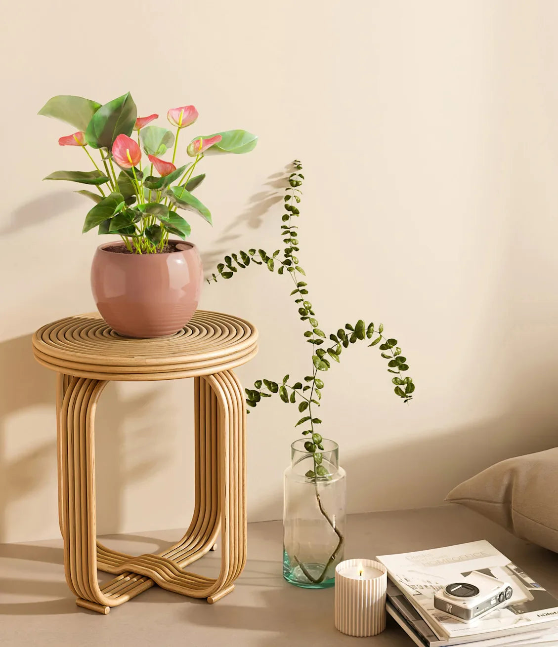 Anthurium Pink