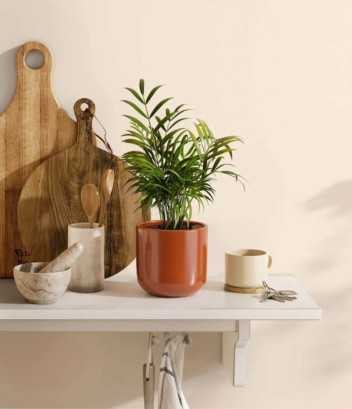 Parlor Palm